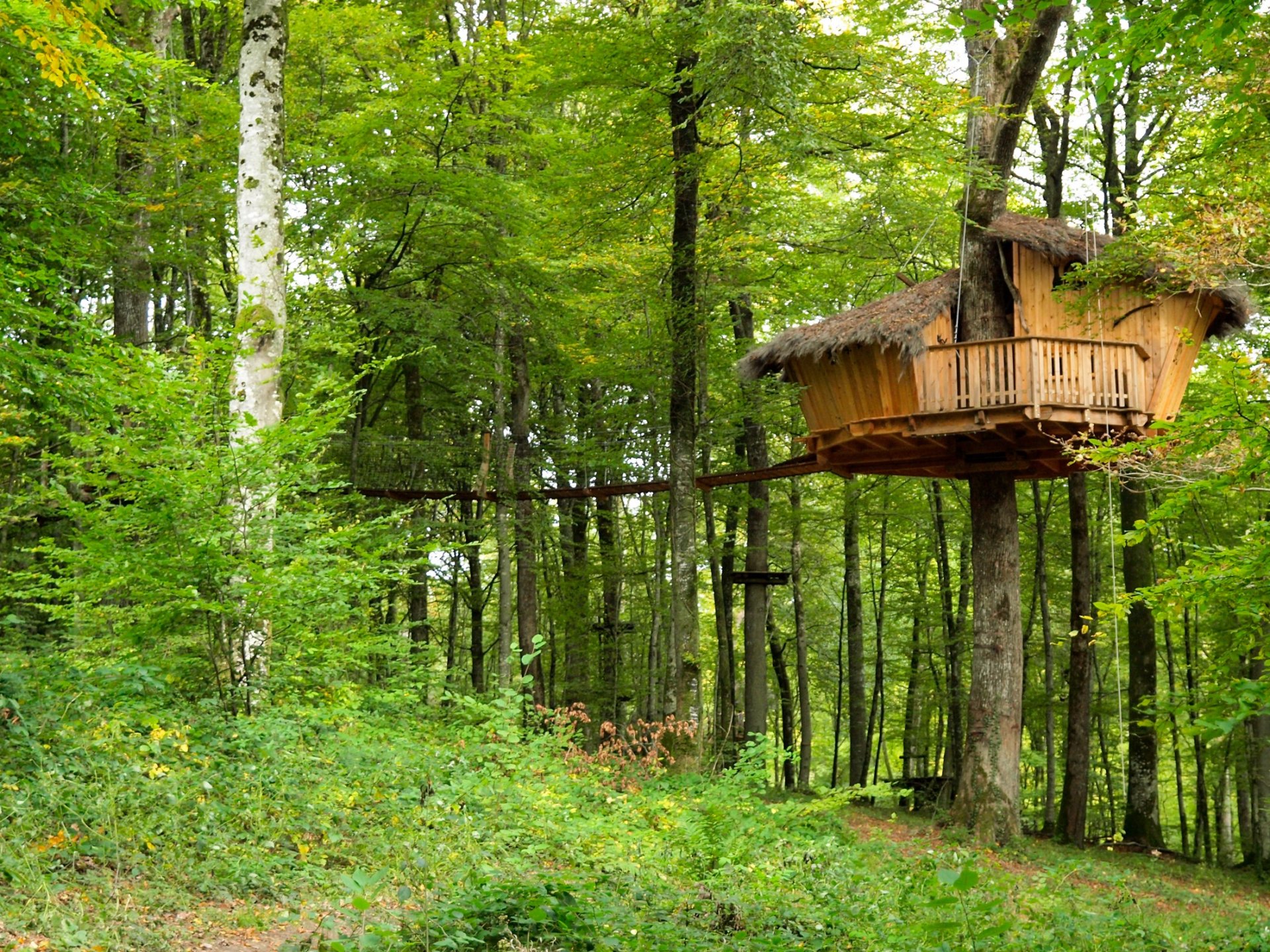 El Sueno - Cabane dans les arbres Champagne-Ardenne (Grand Est