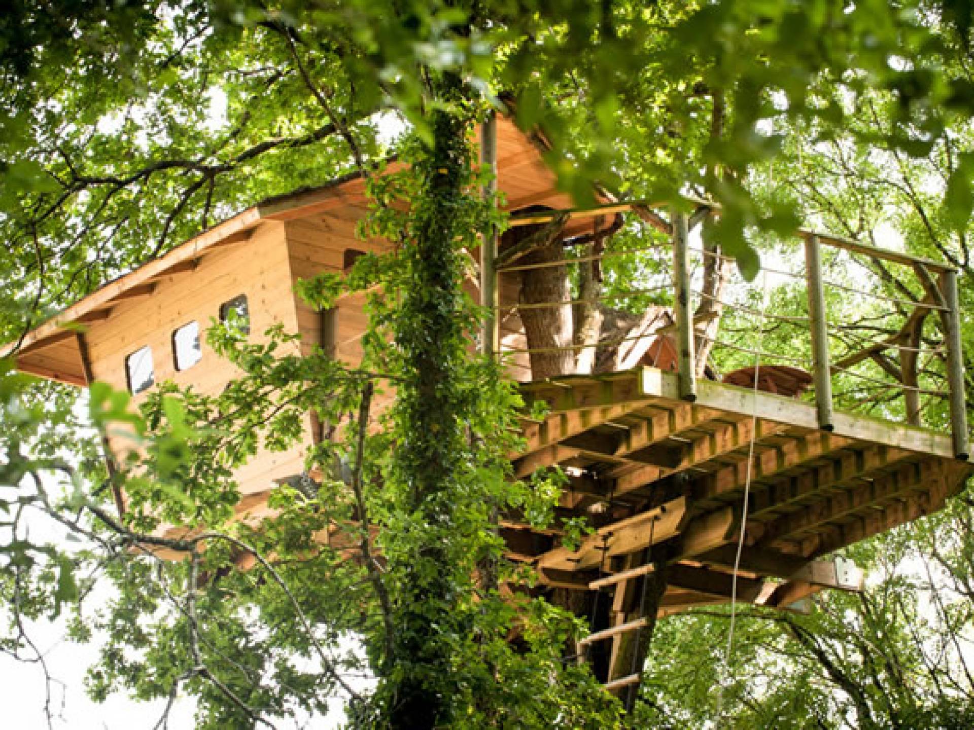 Cabane