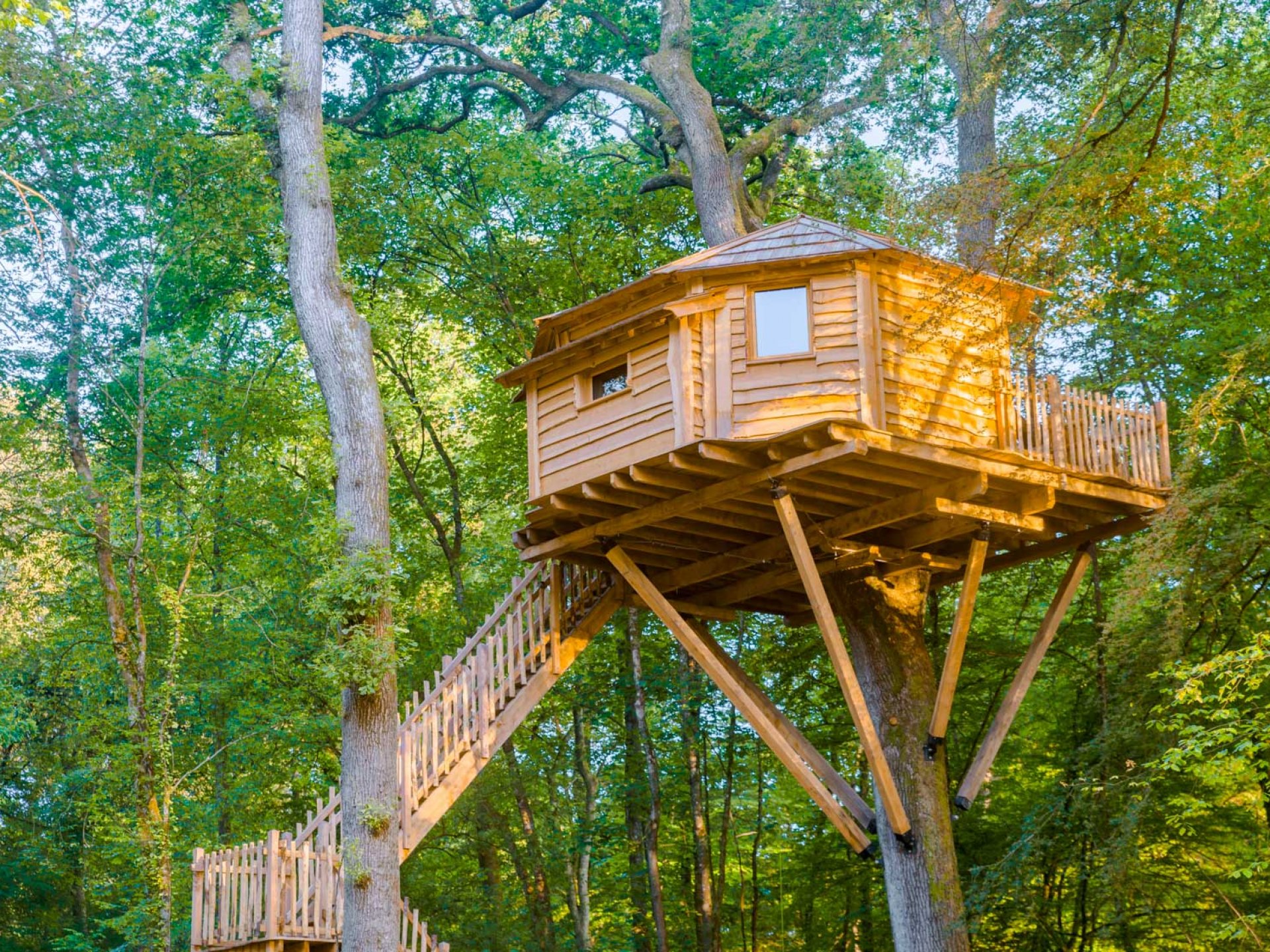 Cabane duo Vertige - Cabane dans les arbres Franche-Comté (Bourgogne