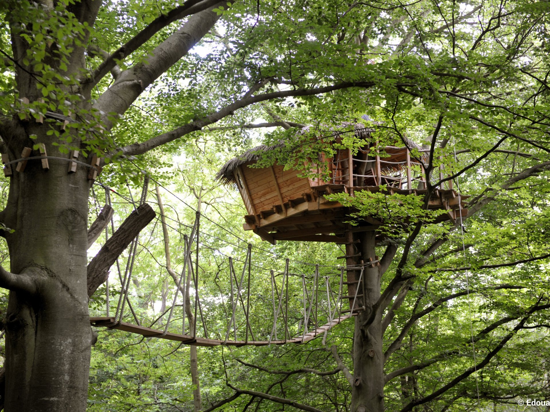 Berceau - Cabane dans les arbres Haute-Normandie (Normandie)