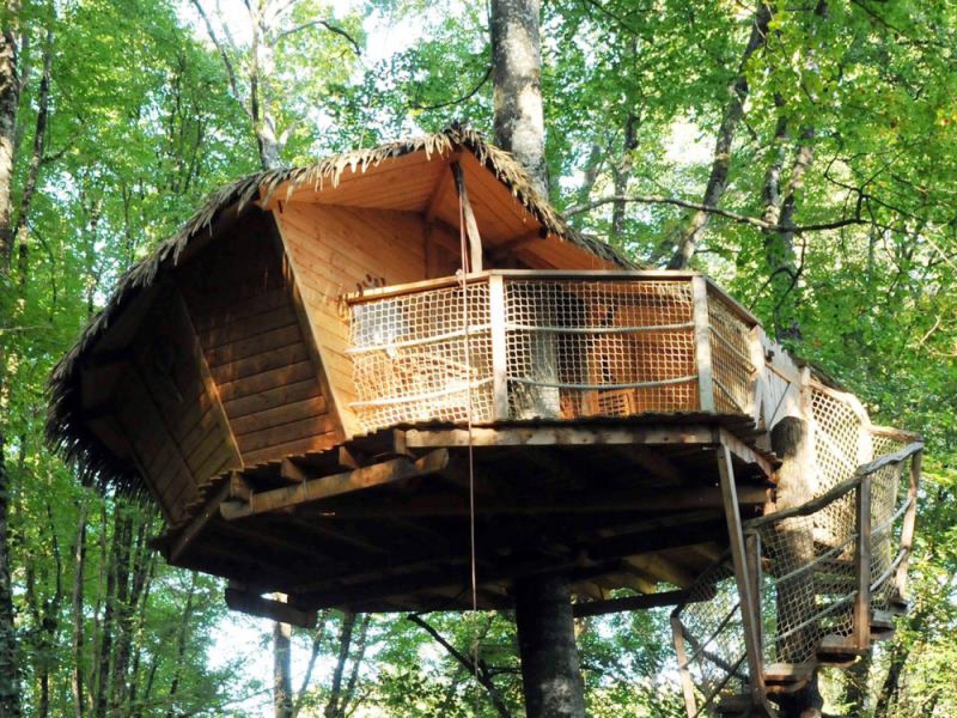 Cabane du Pêcheur Cabane dans les arbres PoitouCharentes (Nouvelle Aquitaine) hebergement Cabane du Pêcheur Cabane dans les arbres PoitouCharentes (Nouvelle Aquitaine) hebergement