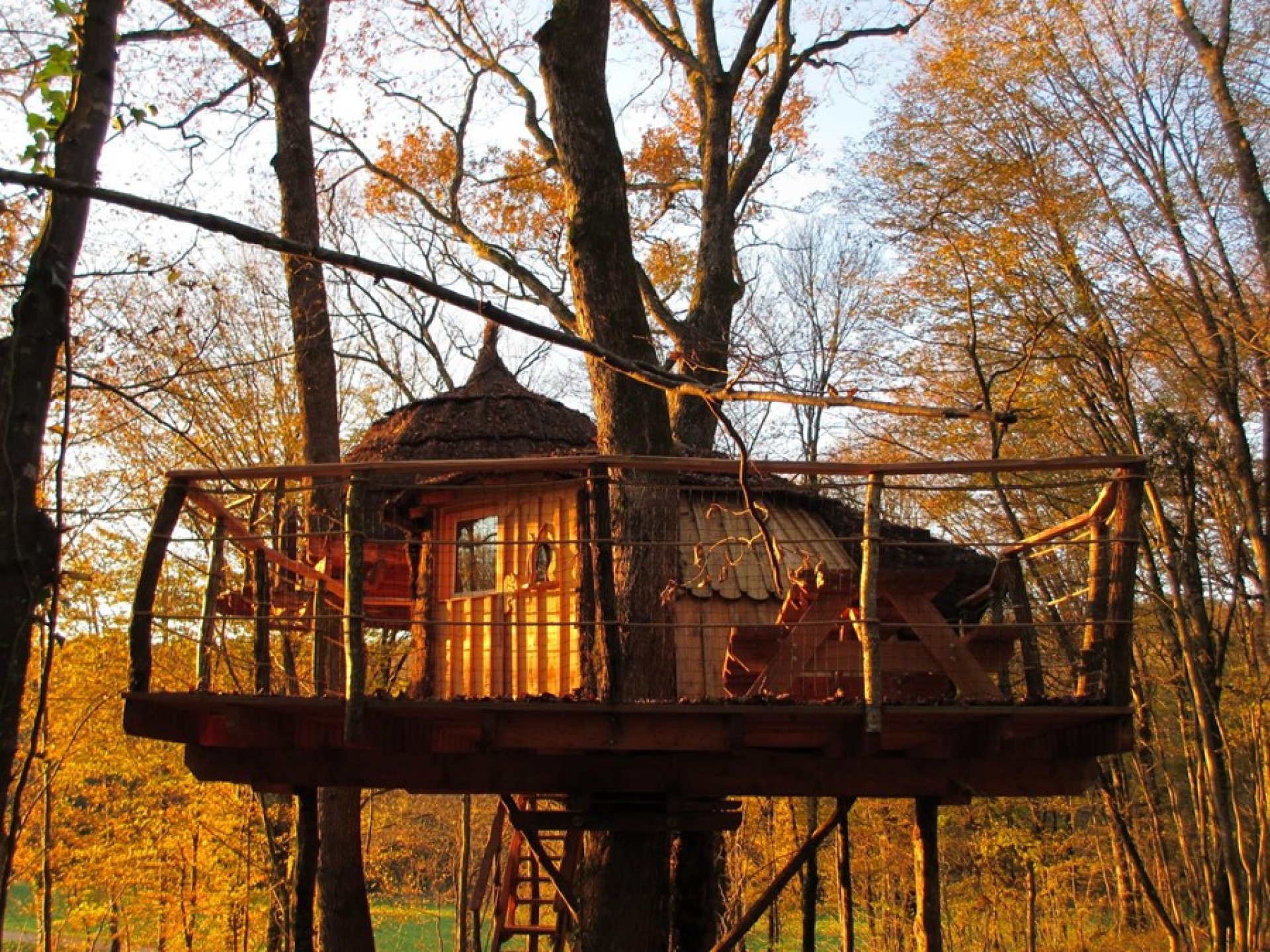 Les Cabanes Dans Les Arbres De Caluche