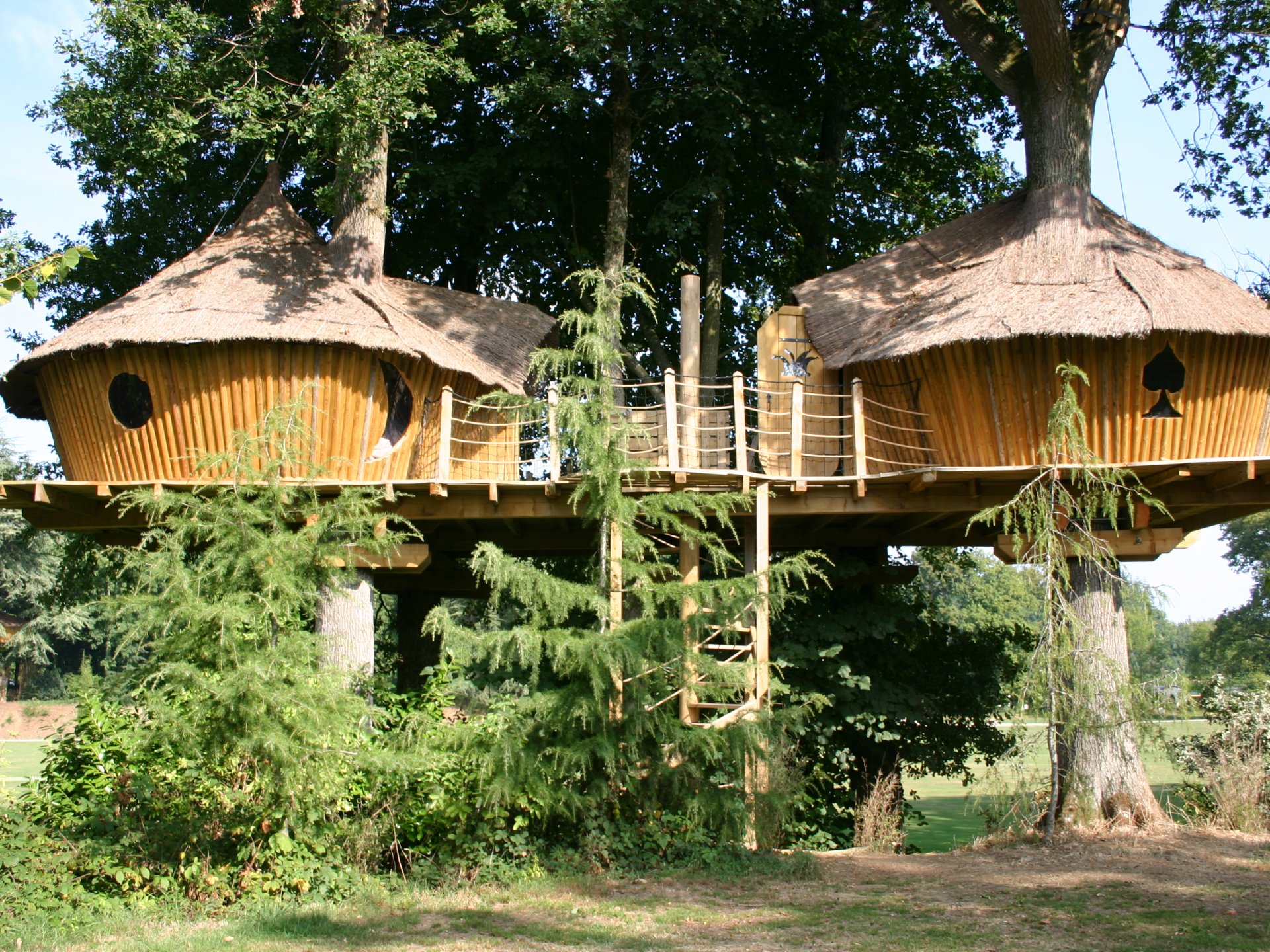  Cabane  Familiale Ch nes Cabane  dans  les  arbres  Bretagne 