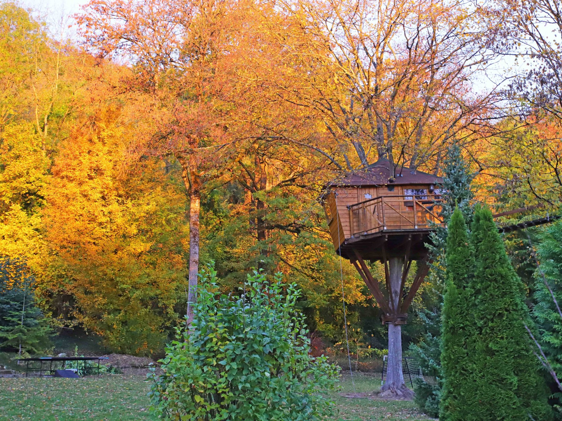 La Cabane du Charme - Cabane dans les arbres Île-de-France
