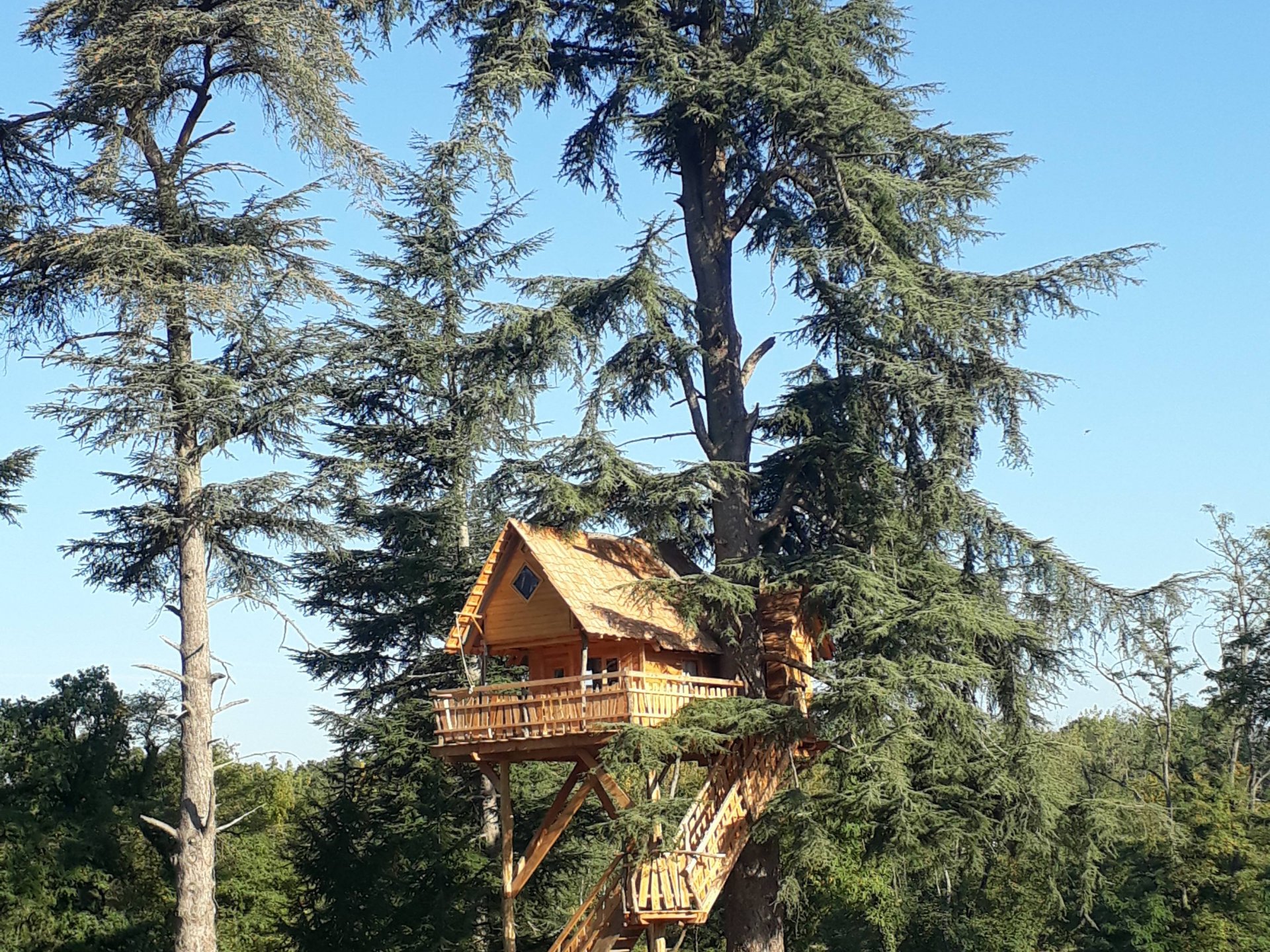 Cabane au Cédre du Bonheur Cabane