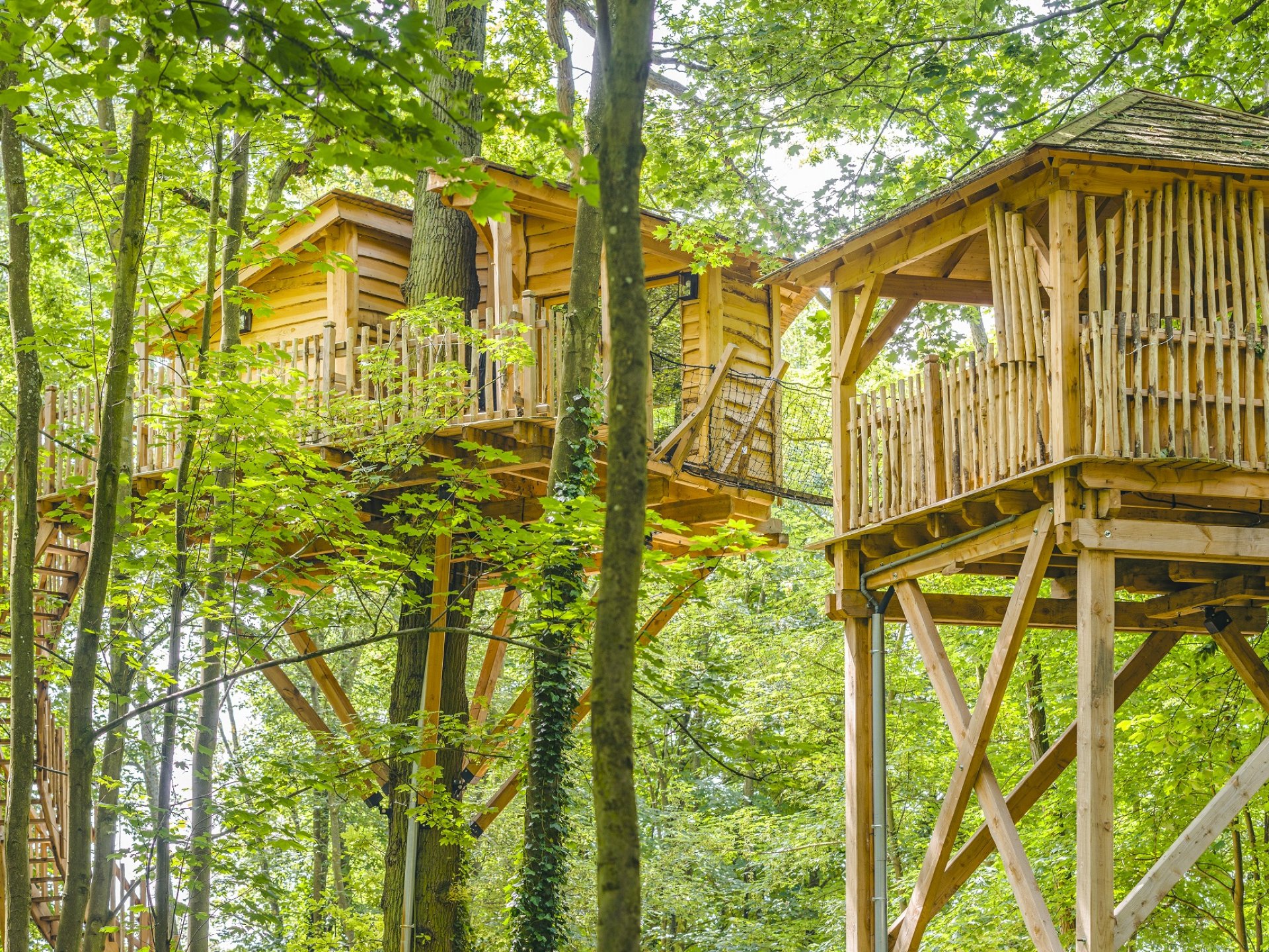  Cabane  Spa Cocon Cabane  dans  les  arbres  Picardie Hauts 