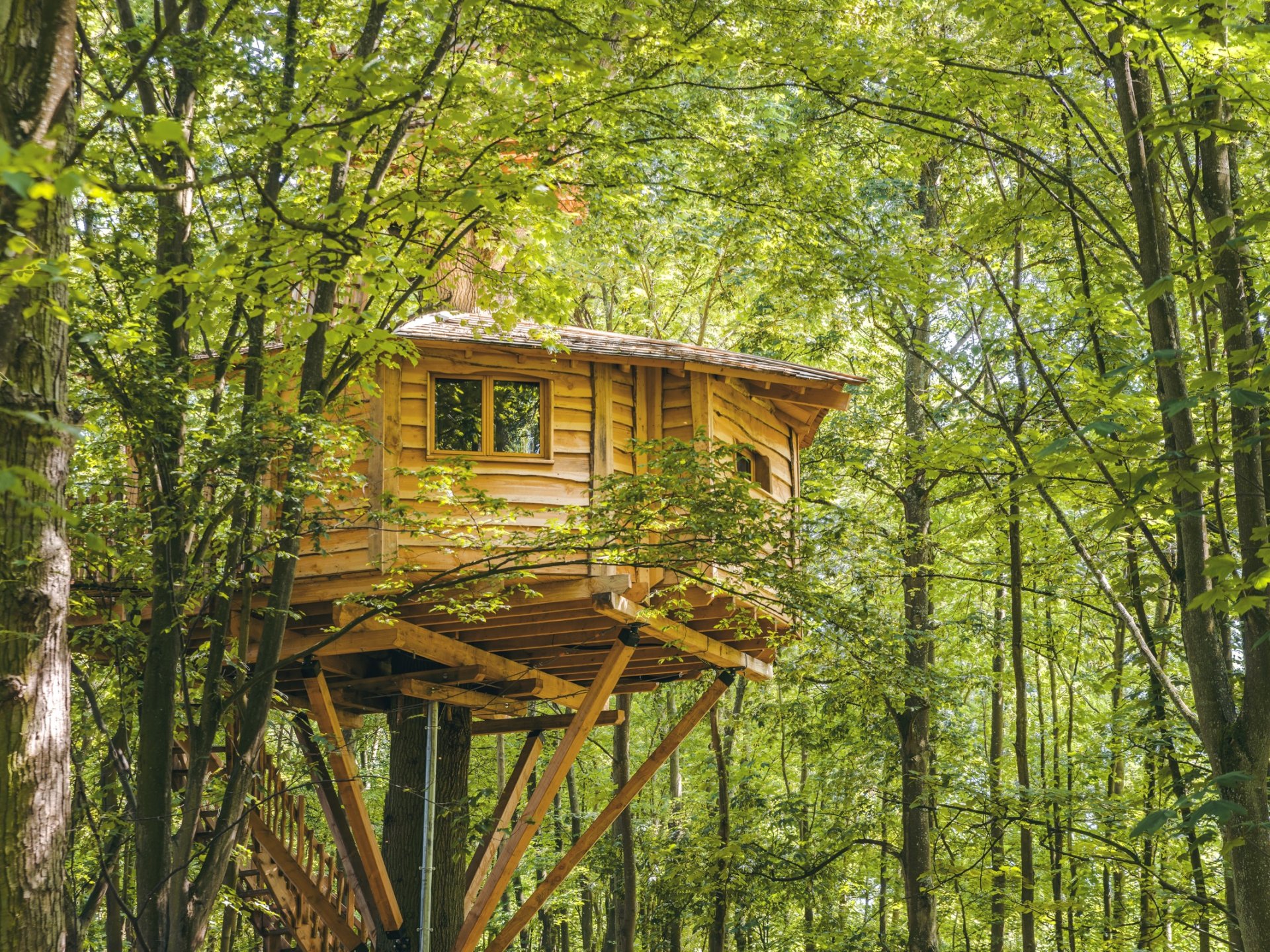 Cabanes Spa Osmose - Cabane dans les arbres Picardie (Hauts-de-France