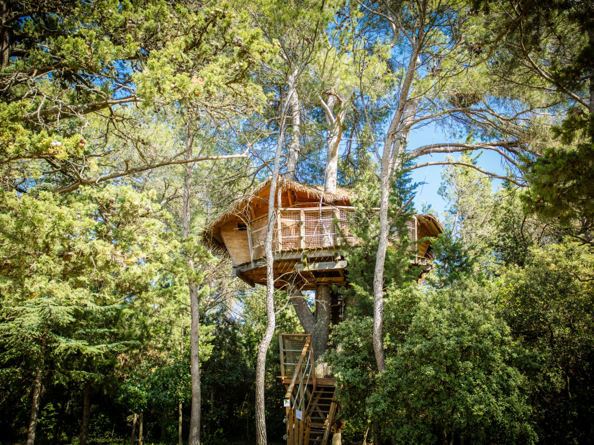 Les Cabanes D'hestia - Logement Insolite - Haut Languedoc