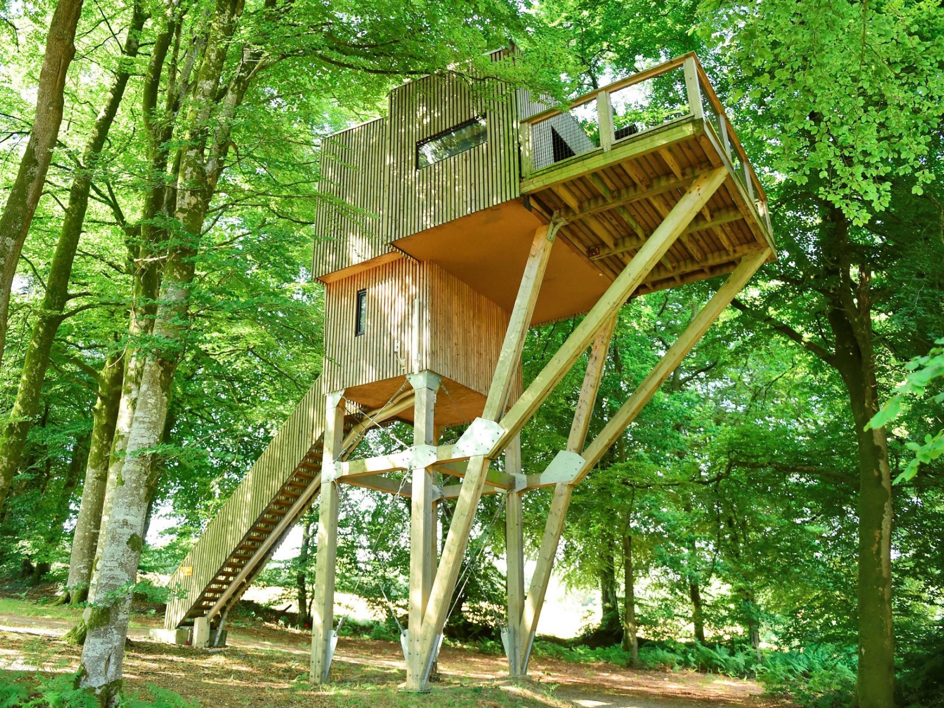 Cabane Spa dans les arbres - Cabane dans les arbres Basse-Normandie