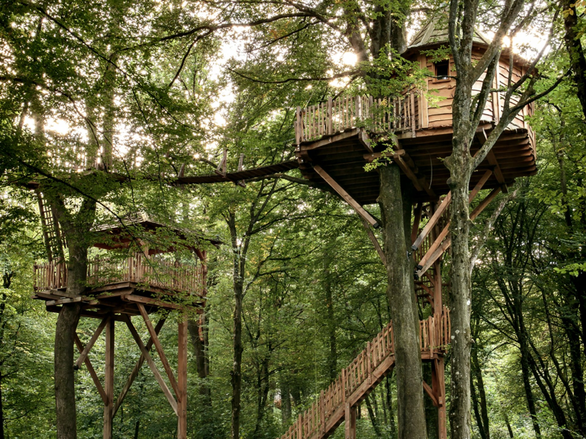 Cabane Spa Nirvana - Cabane dans les arbres Franche-Comté (Bourgogne