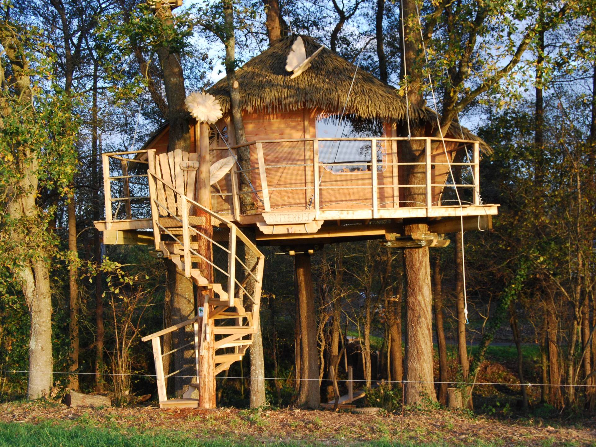  Cabane  Butterfly Cabane  dans  les  arbres  Basse Normandie 