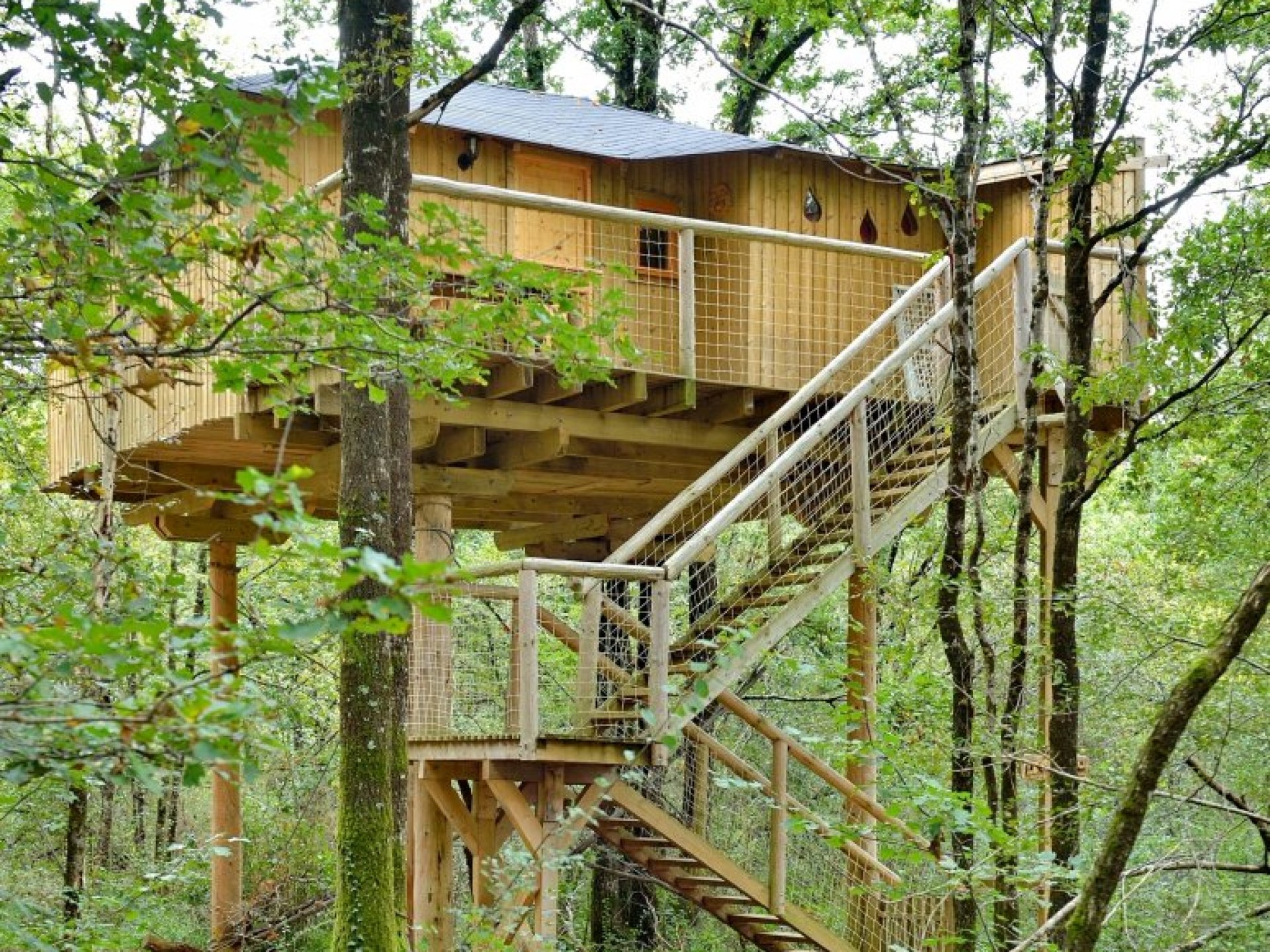 Maison dans les Branches n°2 6 personnes Cabane dans les arbres PoitouCharentes (Nouvelle Maison dans les Branches n°2 6 personnes Cabane dans les arbres PoitouCharentes (Nouvelle