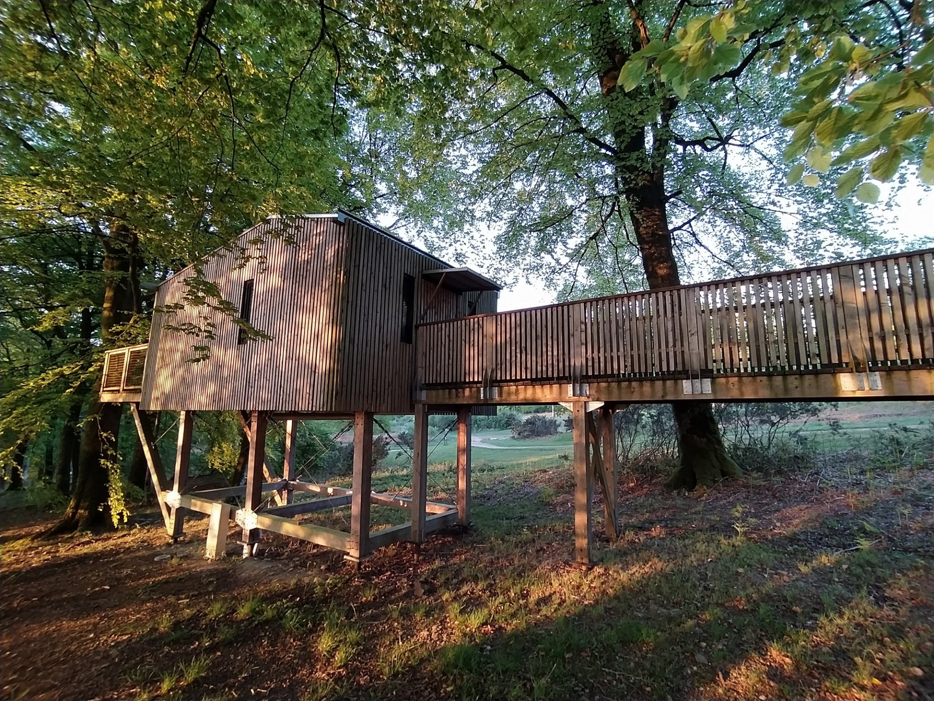 Cabane Spa dans les arbres PMR - Cabane dans les arbres Basse-Normandie (Normandie)