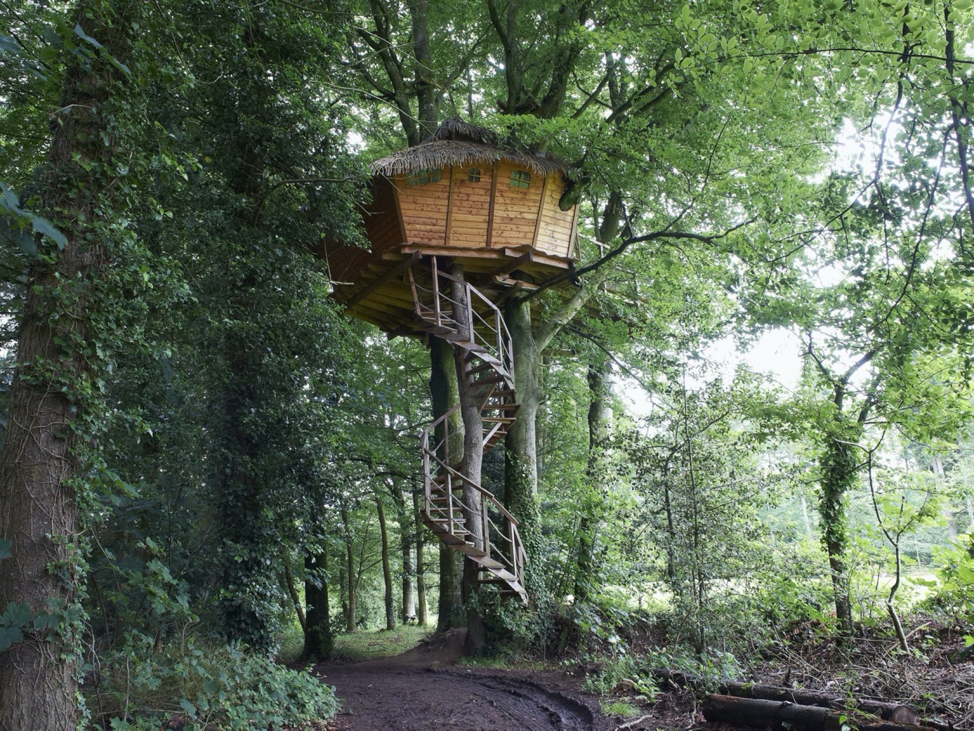 Hébergement dans les arbres bretagne