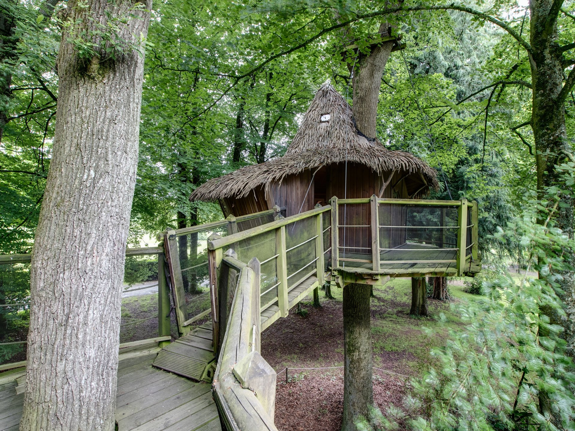 Cabane Familiale Vigne - Cabane dans les arbres Bretagne - hebergement ...