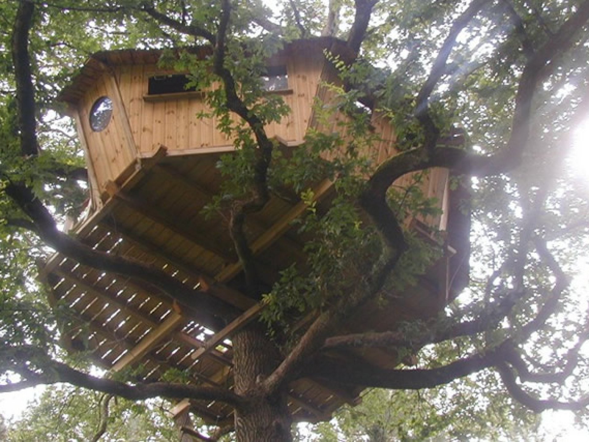 La Cabane perchée Nijal - Cabane dans les arbres Bretagne - hebergement ...