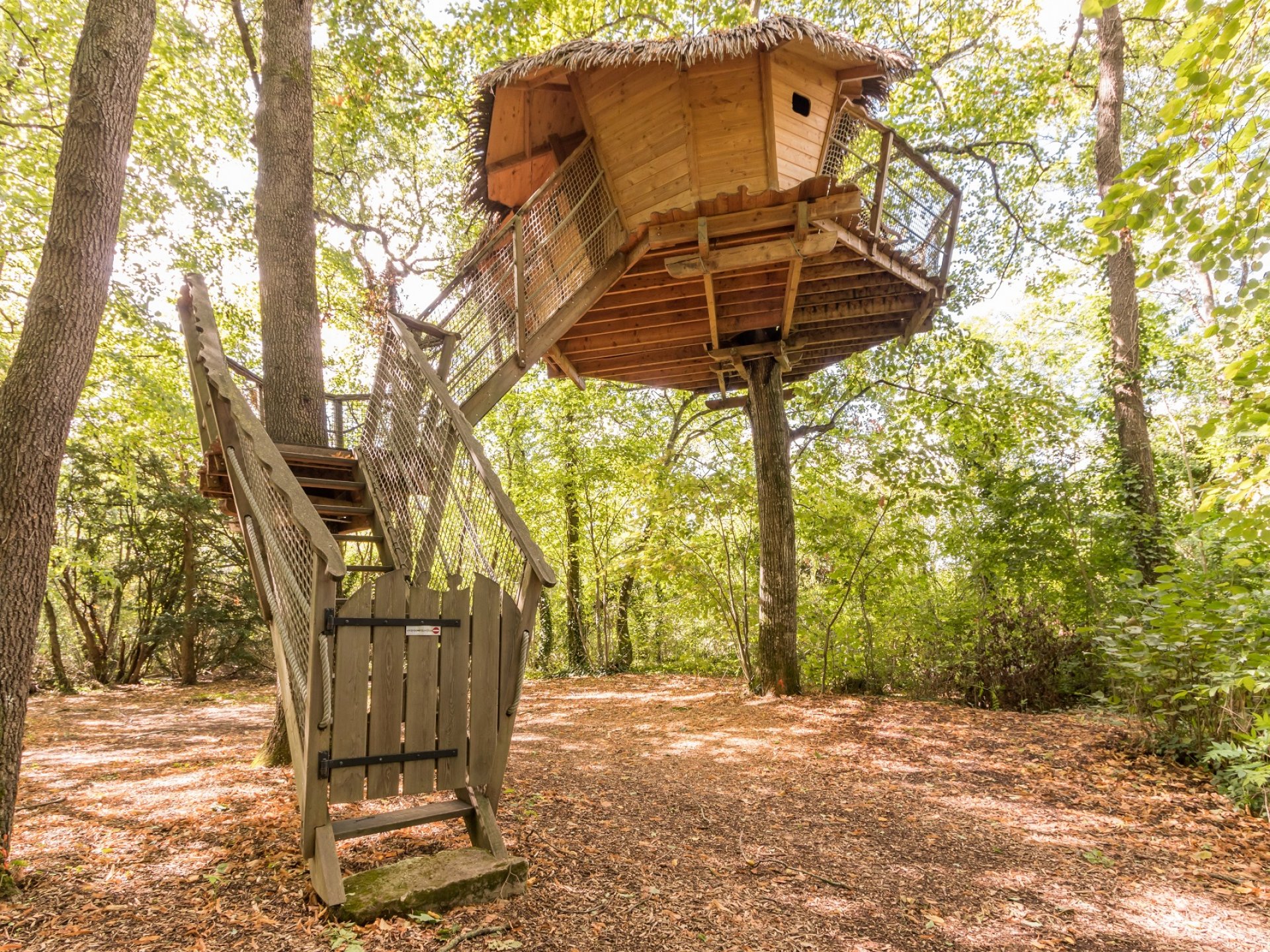 Nid dans  les  toiles Cabane  dans  les  arbres  Poitou 