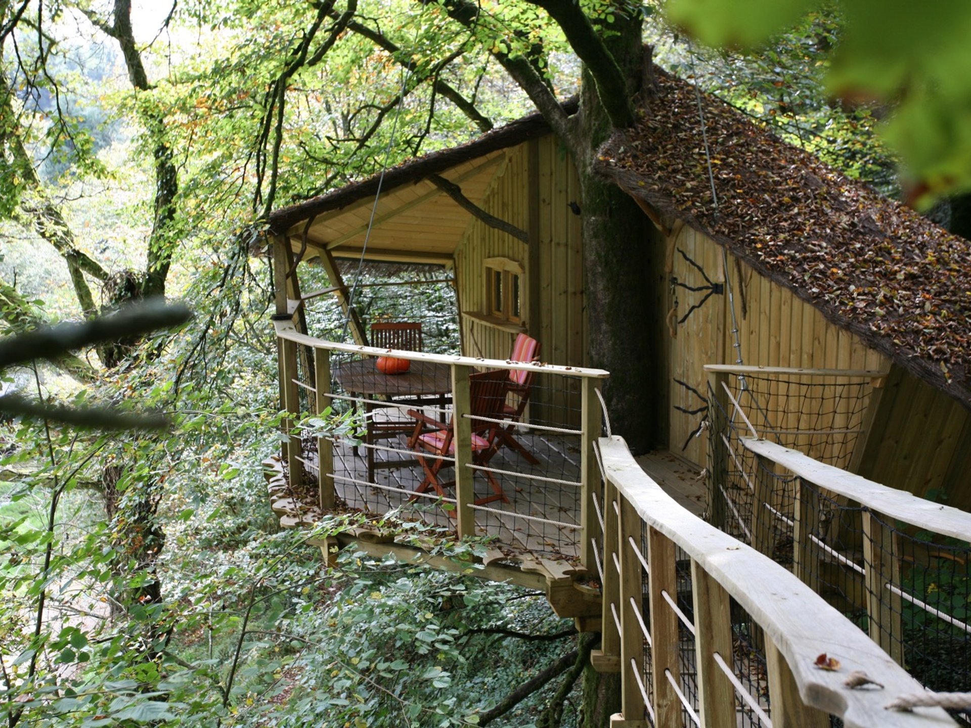 La Cabane Ti Milin - Cabane dans les arbres Bretagne - location insolite