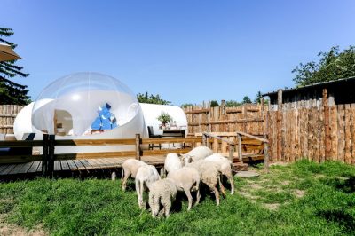 La petite ferme des Vitoz