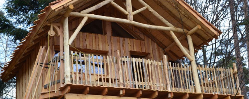 Cabanes perchées dans les arbres